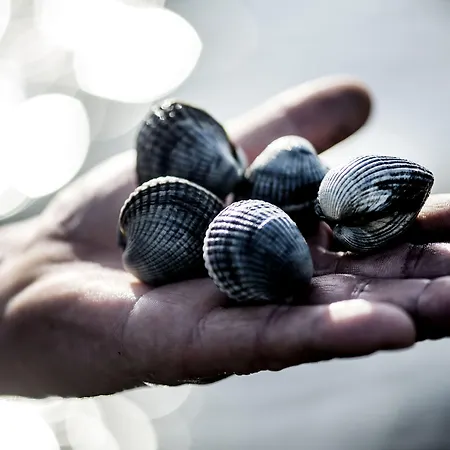 Christiansminde Szálloda Svendborg