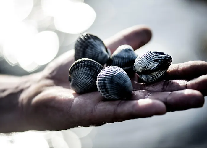 Christiansminde Hotel Svendborg